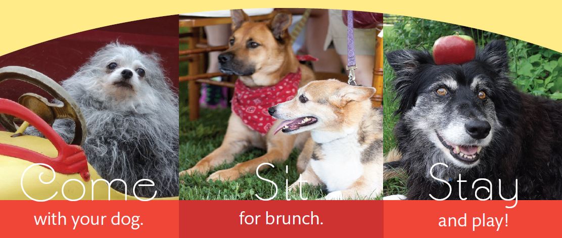 Finck & Perras corporate sponsor for Dakin’s Mutts & Mimosas 2016